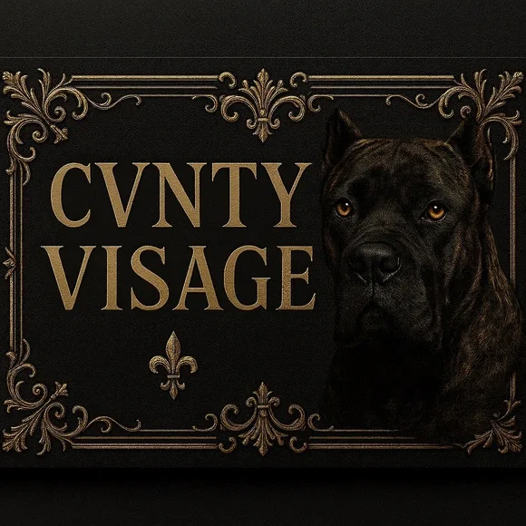 CVNTY VISAGE - Picture 2 of 6